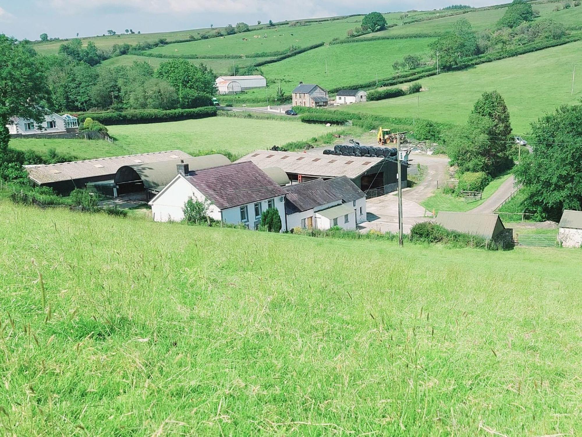 Typicca Farmhouse Brechfa Exterior foto